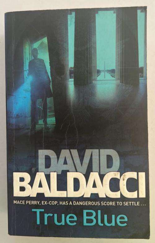 True Blue - David Baldacci