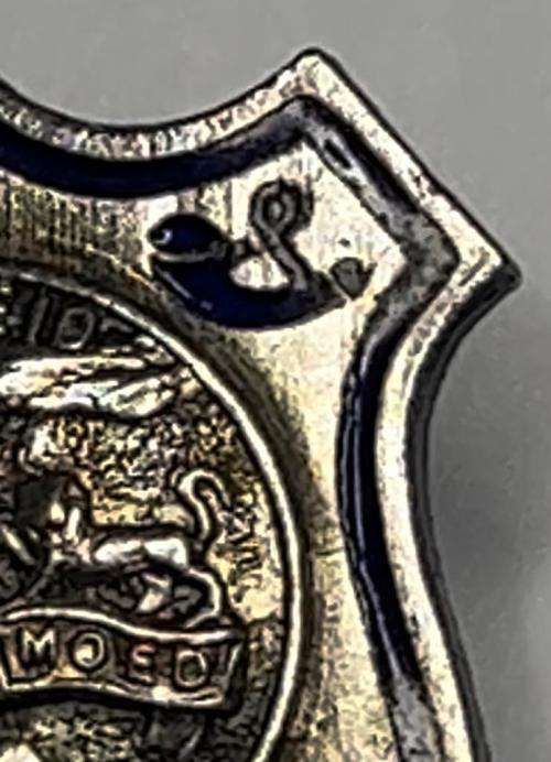 SOUTH AFRICA : Vintage Orangia pin badge - Vryheid-Geduld en Moed Immigratie