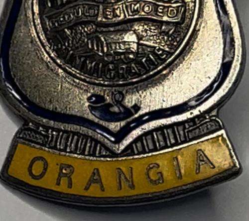 SOUTH AFRICA : Vintage Orangia pin badge - Vryheid-Geduld en Moed Immigratie