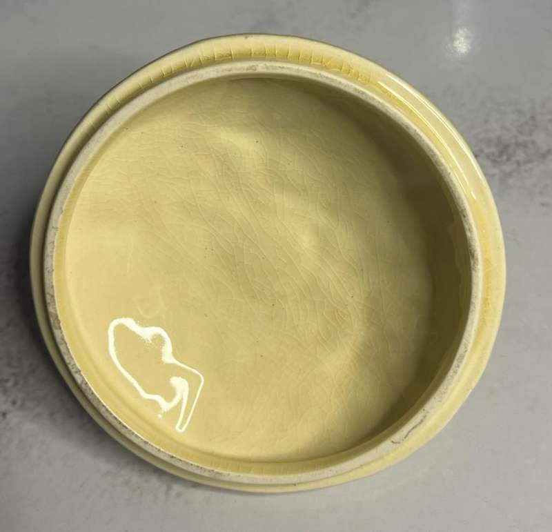 Clarice Cliff `Celtic Harvest` Biscuit Barrel