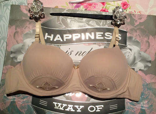 Bra
