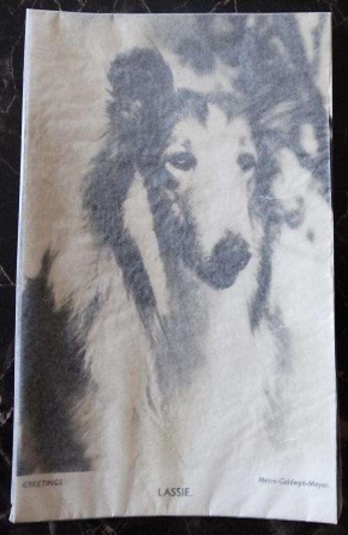Greeting Card Of Lassie