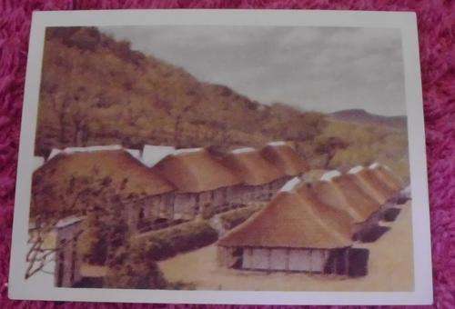 Our South African National Parks Punda Maria Camp