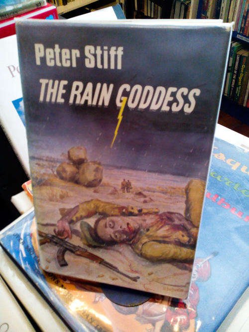 The Rain Goddess - Peter Stiff
