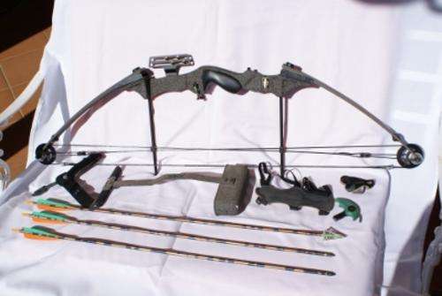 Compound hunting bow