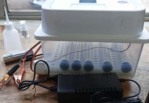 NFL-12 egg incubator Dual Power