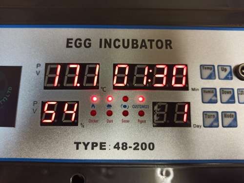 NFL-108 egg automatic incubator Dual Power