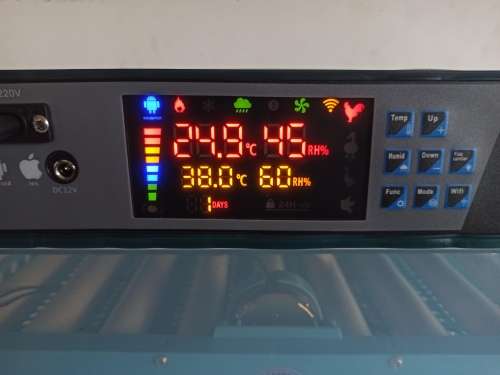 NFL- 128 egg Incubator, Dual Power, Wifi app, fully automatic hatcher and setter