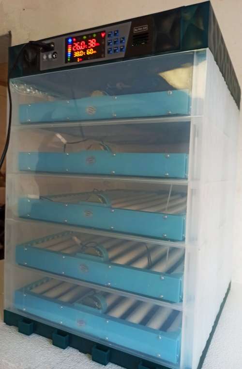 NFL-320 egg Incubator, Dual Power, Wifi app, fully automatic