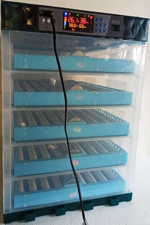 NFL-320 egg Incubator, Dual Power, Wifi app, fully automatic