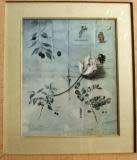 Framed print 570 x 470