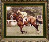 Framed Horse Racing