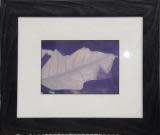 Framed photo office art