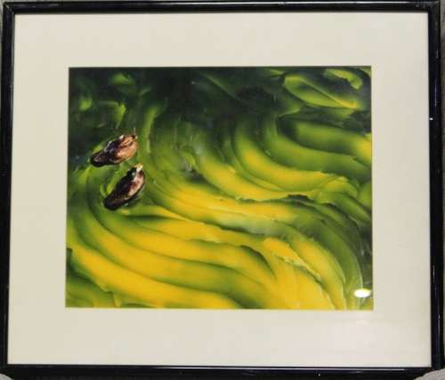 Framed office art - `Ducks on a green lake`