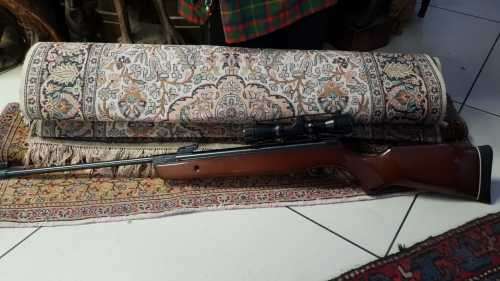 Air rifle Gamo hunter basic with telescope