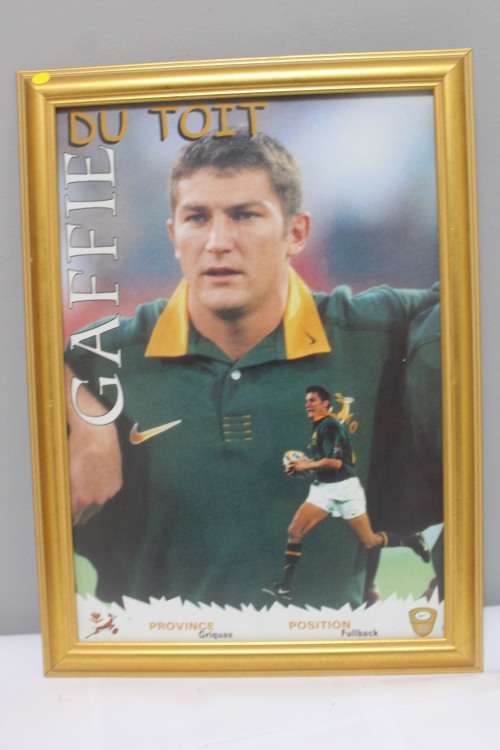 Framed Springbok - Gaffie De Toit