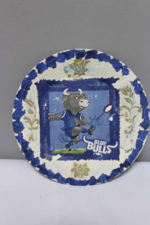 Bulls Rugby - hand made decor plate and tile