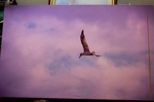 Oil on canvas