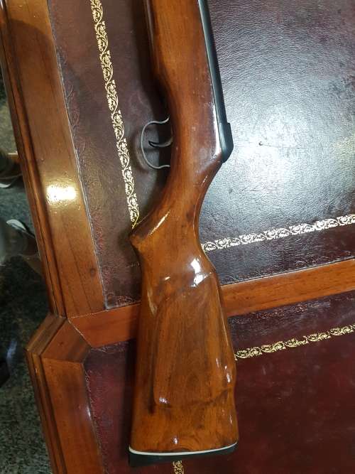 Air rifle AT22