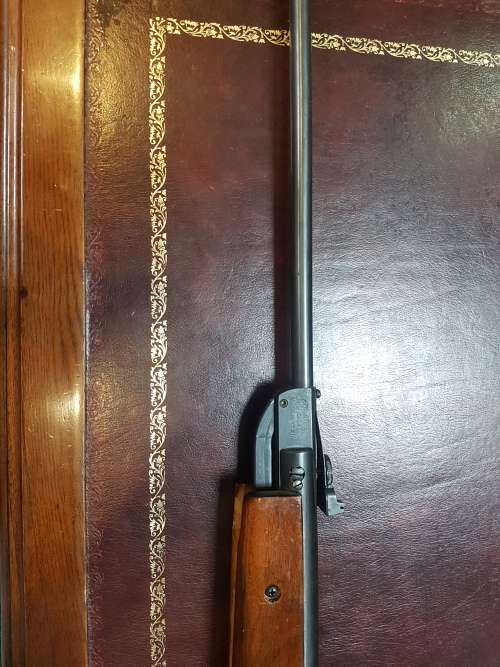 Air rifle AT22