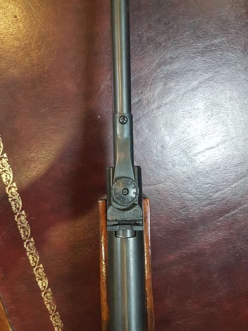 Air rifle AT22