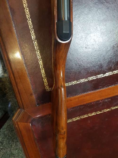 Air rifle AT22