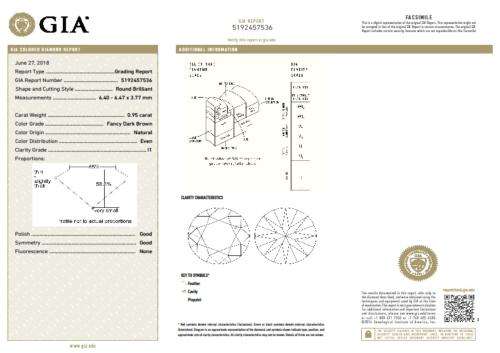 0.95 carat Round Brilliant Diamond Fancy Dark Brown I1 - c/w GIA certificate