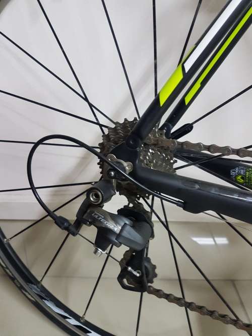Bergamont Dolce Limited Edition 2013 Bicycle