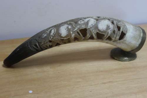 Collectible decorative carved design Cow horn