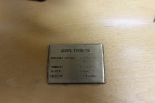 Bloodline Million Sport Trophy