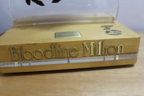 Bloodline Million Sport Trophy