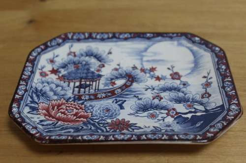 Japanese sushi plate