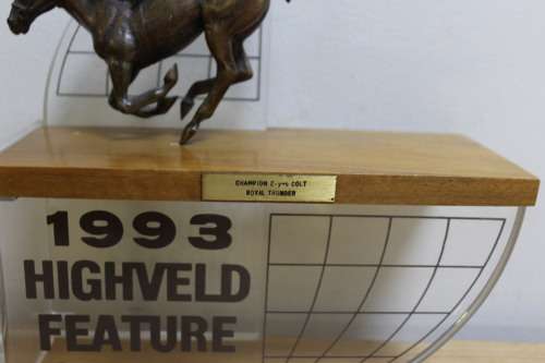 1993 Highveld Feature Season Champion `ROYAL THUNDER`