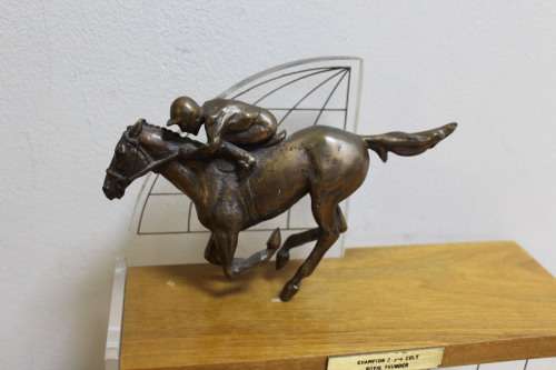 1993 Highveld Feature Season Champion `ROYAL THUNDER`