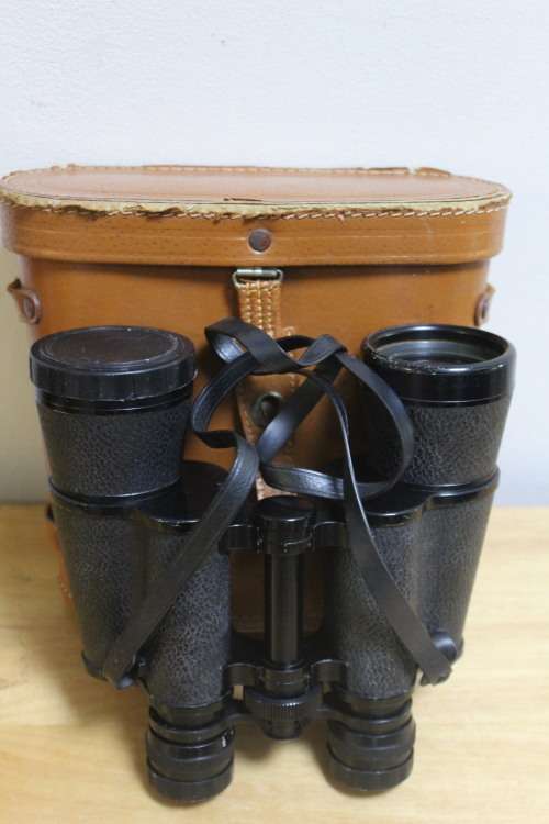 Summit 10x50 Binoculars in case