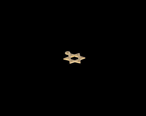 9ct (0.4gram) Yellow gold Star of David Charm
