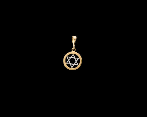 9ct (1.1 gram) 2 tone Star of David Pendant