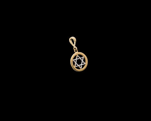 9ct (1.1 gram) 2 tone Star of David Pendant