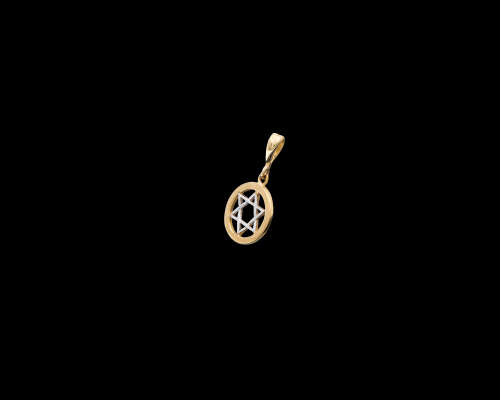 9ct (1.1 gram) 2 tone Star of David Pendant