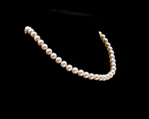 Single strand Freshwater Pearl Necklace with a Costume Jewellery Clasp