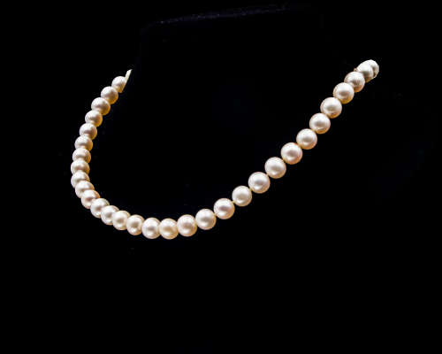 Single strand Freshwater Pearl Necklace with a Costume Jewellery Clasp