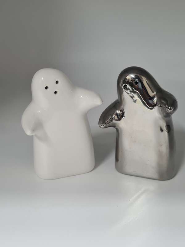 Salt and pepper set
