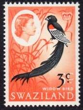 Swaziland - 1968 3c on 5c MNH SACC 135