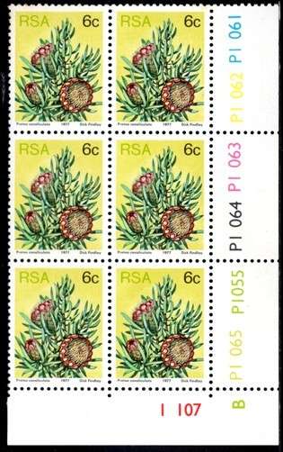 South Africa - 1977 Proteas 6c Control Block Pane B MNH SACC 423