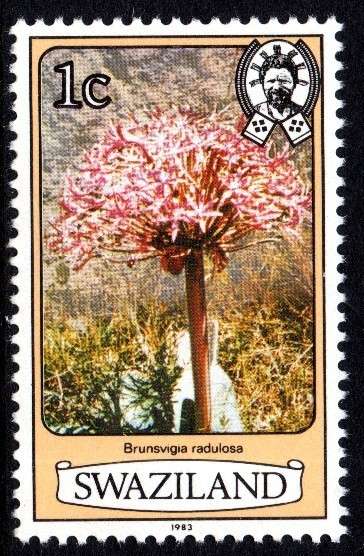 Swaziland - 1983 Flowers 1c MNH SG 340B