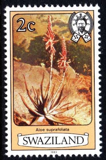 Swaziland - 1983 Flowers 2c MNH SG 341B