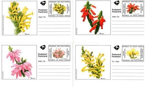 South Africa - 1994 Ericas Postcard Set Mint