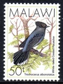 Malawi - 1988 Birds 50t MNH SG 799