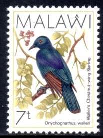 Malawi - 1988 Birds 7t MNH SG 792