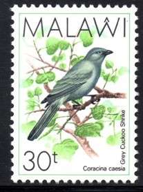 Malawi - 1988 Birds 30t MNH SG 797